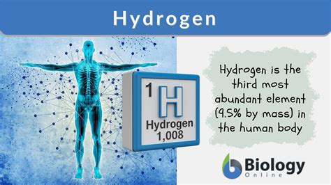 h&h laboratory test|h2 meaning.